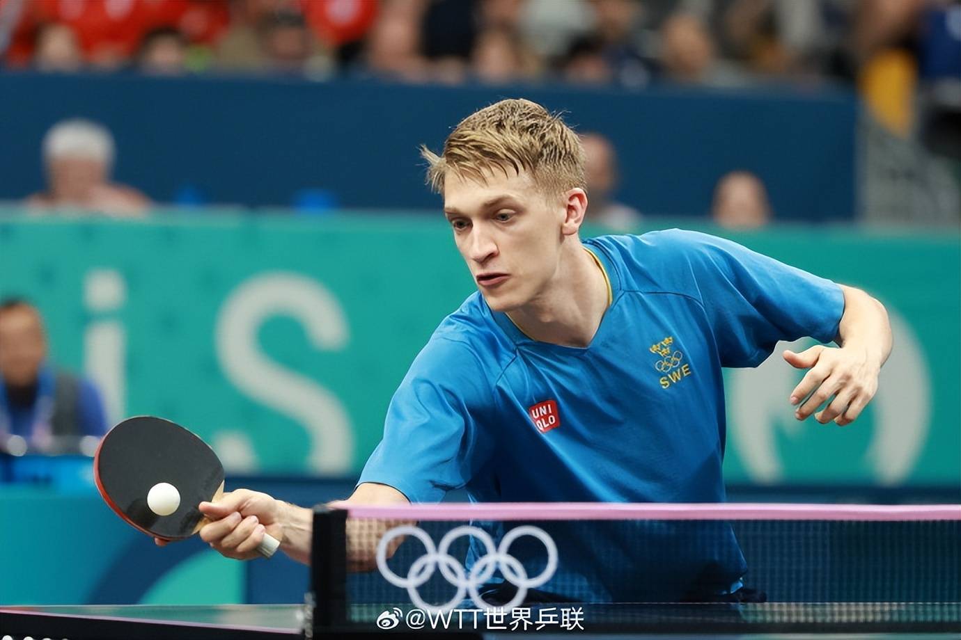 PG电子APP-关于德国乒乓球队绝杀中国乒乓球队，波尔统治全场的信息