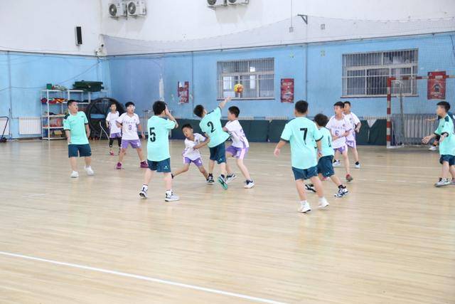 关于手球比赛中选手团队配合默契，力挺冠军的信息