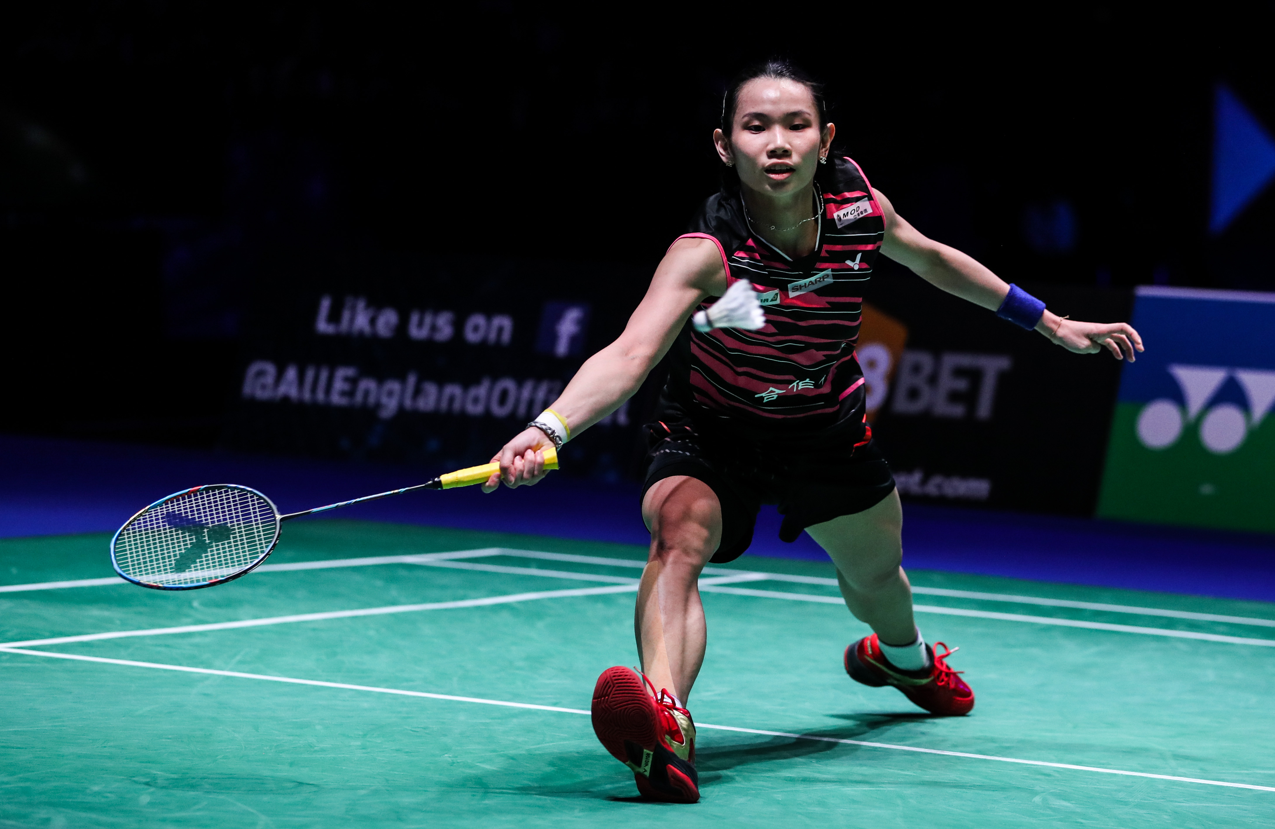 日本羽毛球队血洗韩国羽毛球队，戴资颖爆发神勇的简单介绍