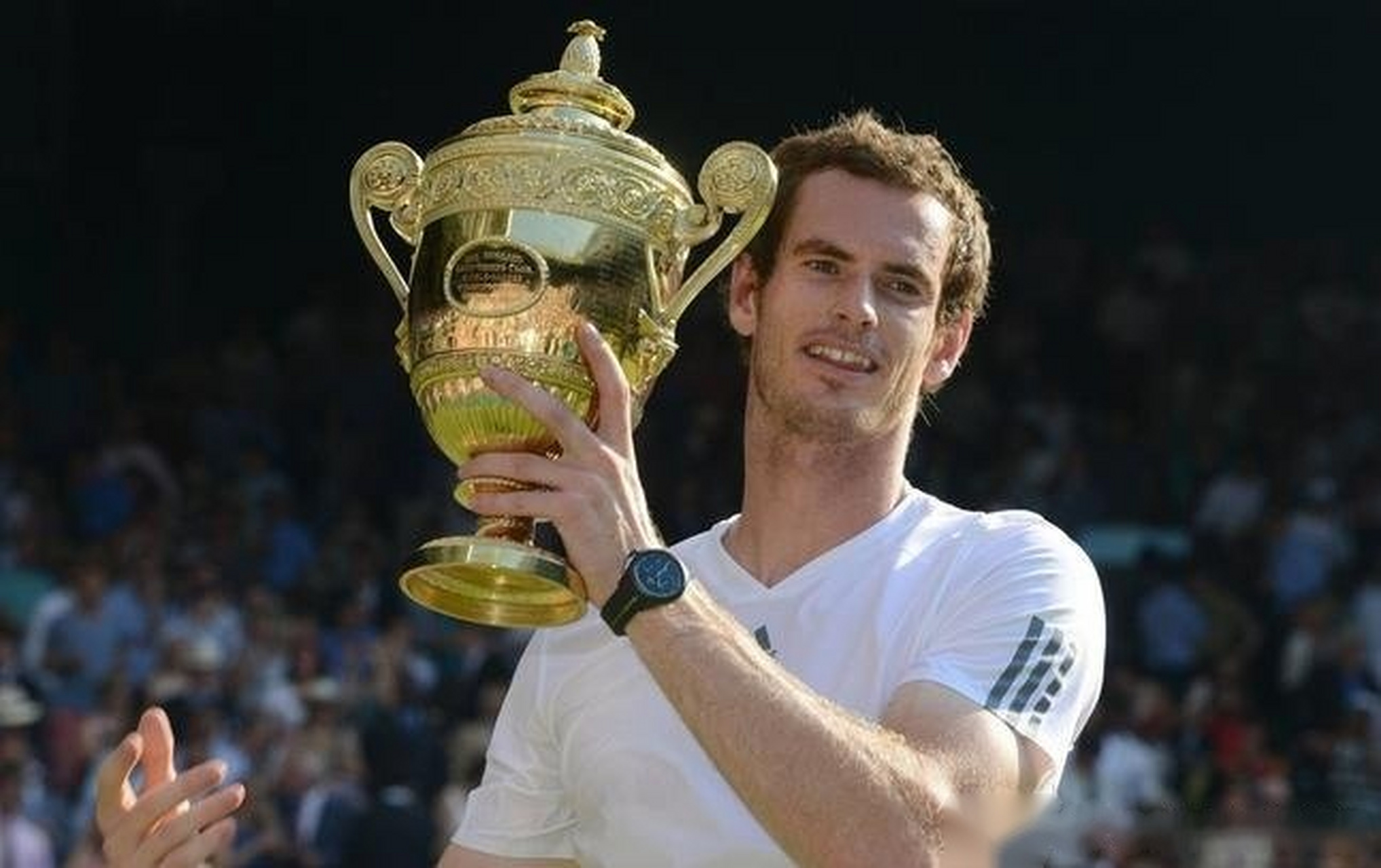 PG中国登录入口-包含年终总决赛翻盘美网，穆雷高光表现的词条