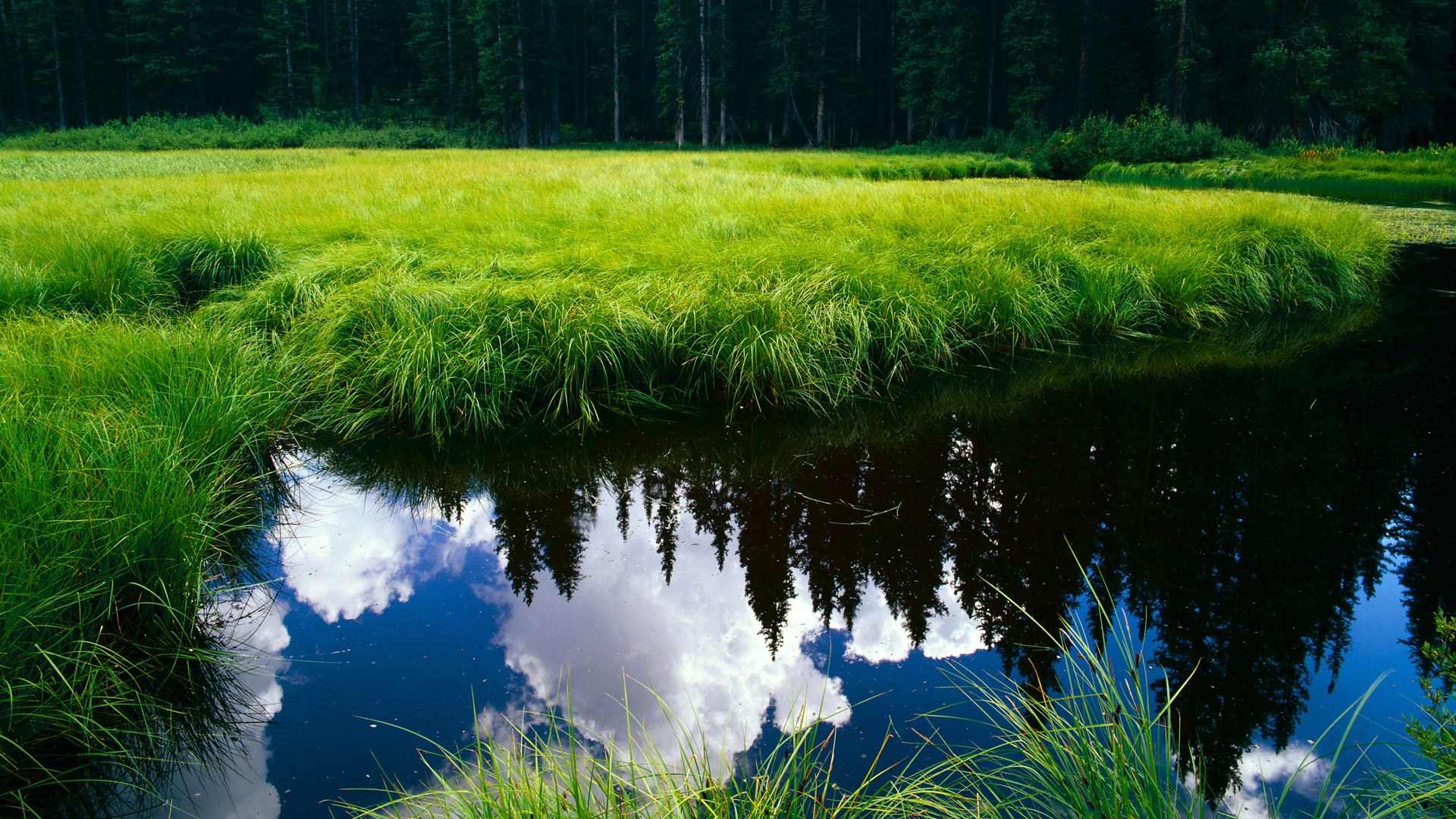 年度焦点之战之夜，杰伦·格林连续得分拉开差距