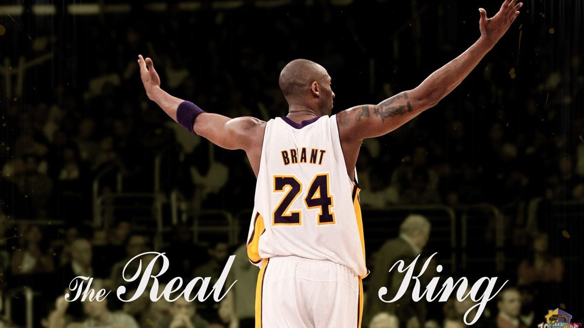 波尔点燃赛场，英格兰队力克韩国队，一场定义时代的胜利